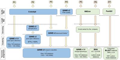 Evaluation of DNA Extraction Methods and Bioinformatic Pipelines for Marine Nano- and Pico-Eukaryotic Plankton Analysis